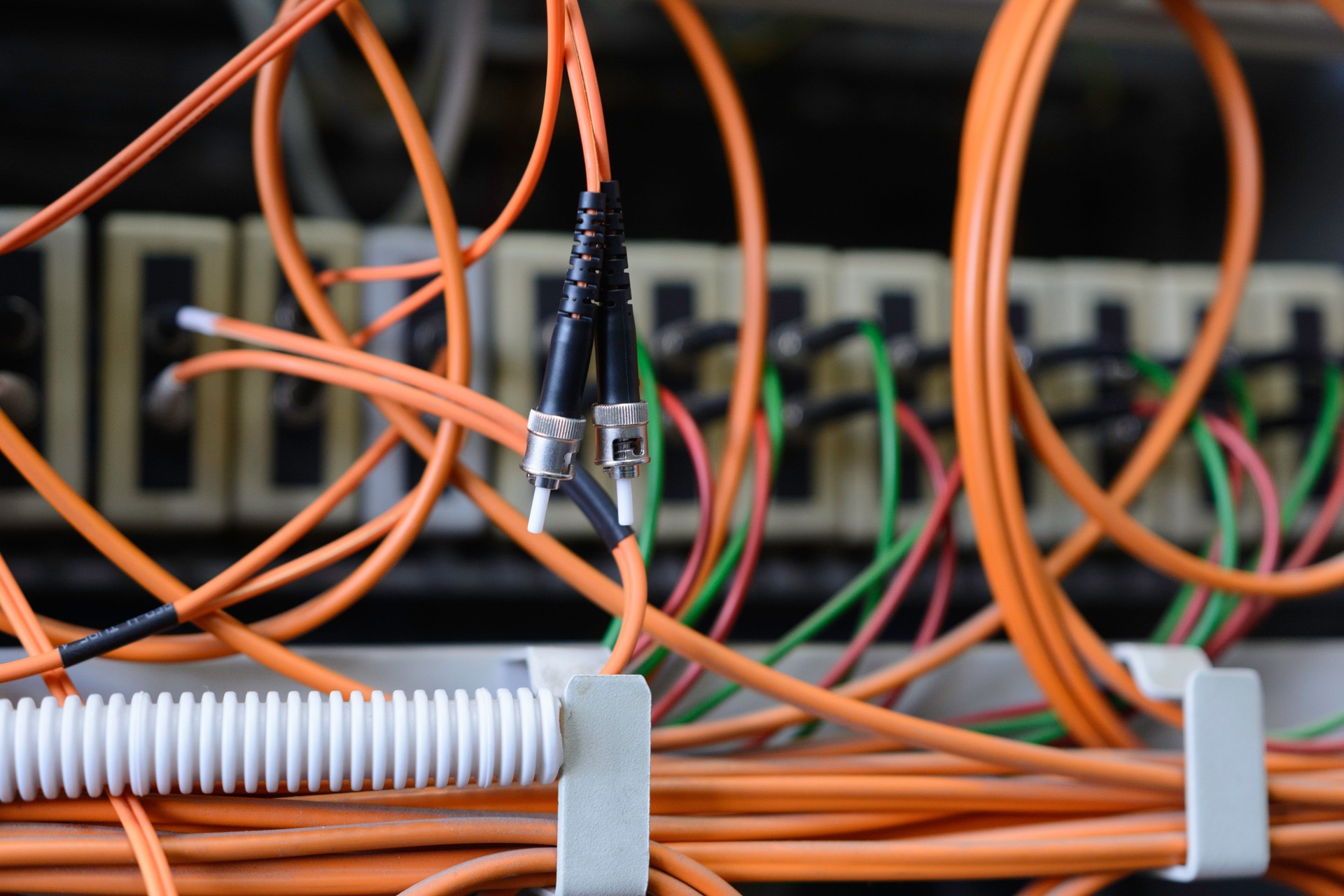 Nahaufnahme von Glasfaser-Patchkabeln, die an den Schalter angeschlossen sind, Informationstechnologie